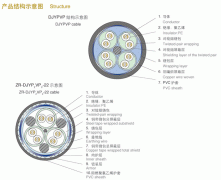 聚乙烯絕緣鋼絲鎧裝計(jì)算機(jī)電纜