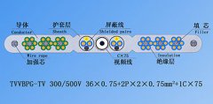 扁平絞合型排列帶屏蔽、鋼芯和視頻線電梯電纜