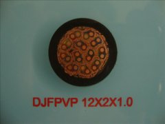 DJFPVP 12*2*1.0 計(jì)算機(jī)屏蔽耐高溫電纜