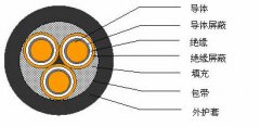 3*2.5，3*3，3*4，3*6，3*10，3*16，3*25屏蔽電纜結(jié)構(gòu)圖