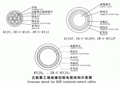 KYJV，KYJVP，KYJV22額定電壓0.6/1kV交聯(lián)聚乙烯絕緣控制電纜