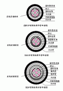 鐵路數字信號電纜